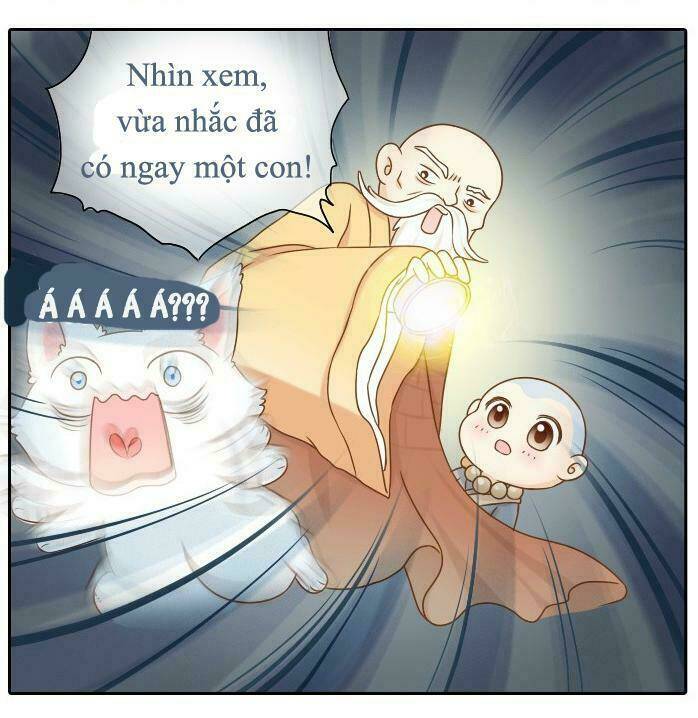 tiểu hồ ly vs tiểu hóa thượng chapter 9 12