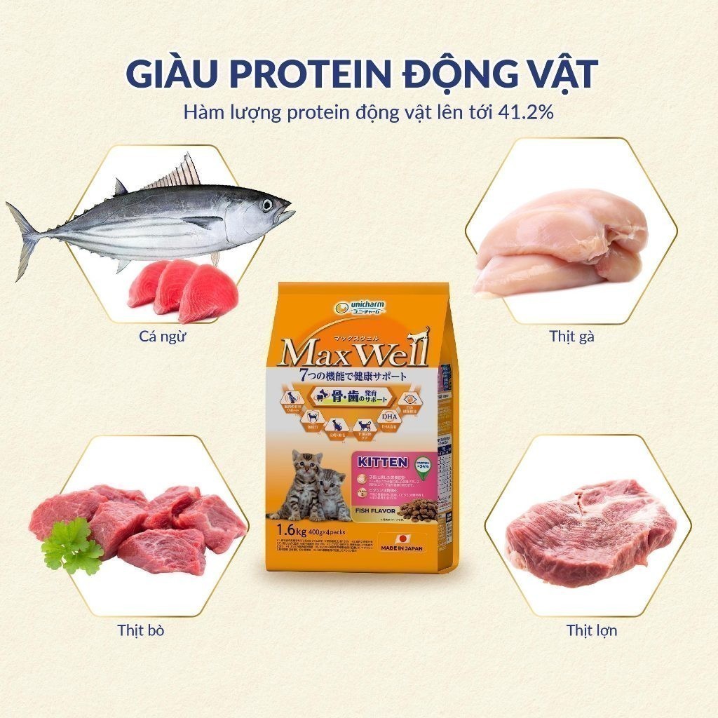 Thức ăn hạt cho mèo con MaxWell - Vị cá 1.6kg