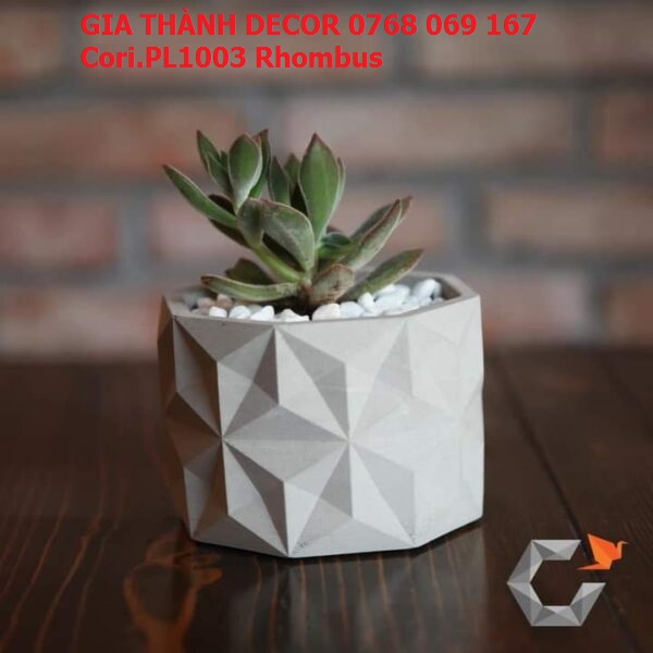CHẬU XIMĂNG CORI , CHẬU CÂY IN 3D ĐỘC ĐÁO, XU HƯỚNG NỘI THẤT CHO KHÔNG GIAN HIỆN ĐẠI, PHÙ HỢP TRỒNG CÂY MINI ĐỂ BÀN, CÂY XƯƠNG RỒNG, SEN ĐÁ, CÂY MỌNG NƯỚC...