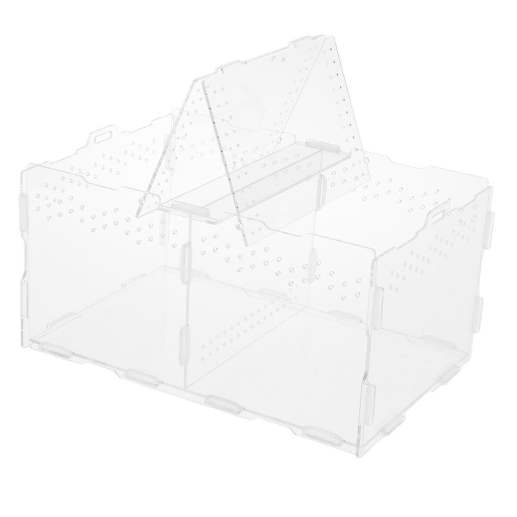Acrylic Feeding Container Breeding Box An Room for Reptile