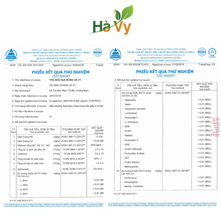 Combo Trà Rau Má Rừng, Trà Dây, Trà Khổ Qua Rừng Nam Trà My Hà Vy hỗ trợ làm đẹp da, hỗ trợ tiêu hoá hiệu quả (set 3 hộp trà túi lọc)