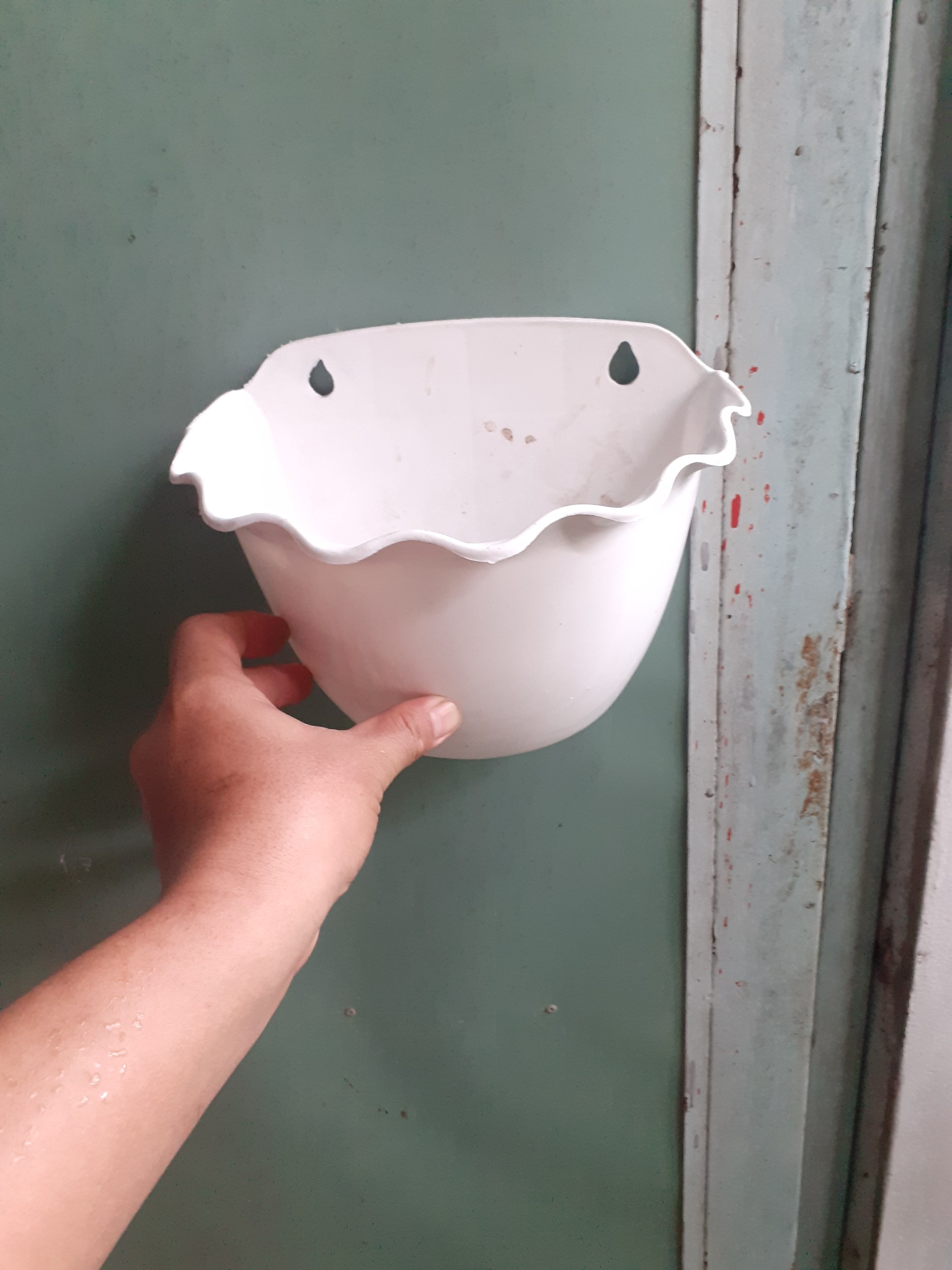 Chậu nhựa ốp tường trồng cây KIỂU BÈO nhúng xinh xinh