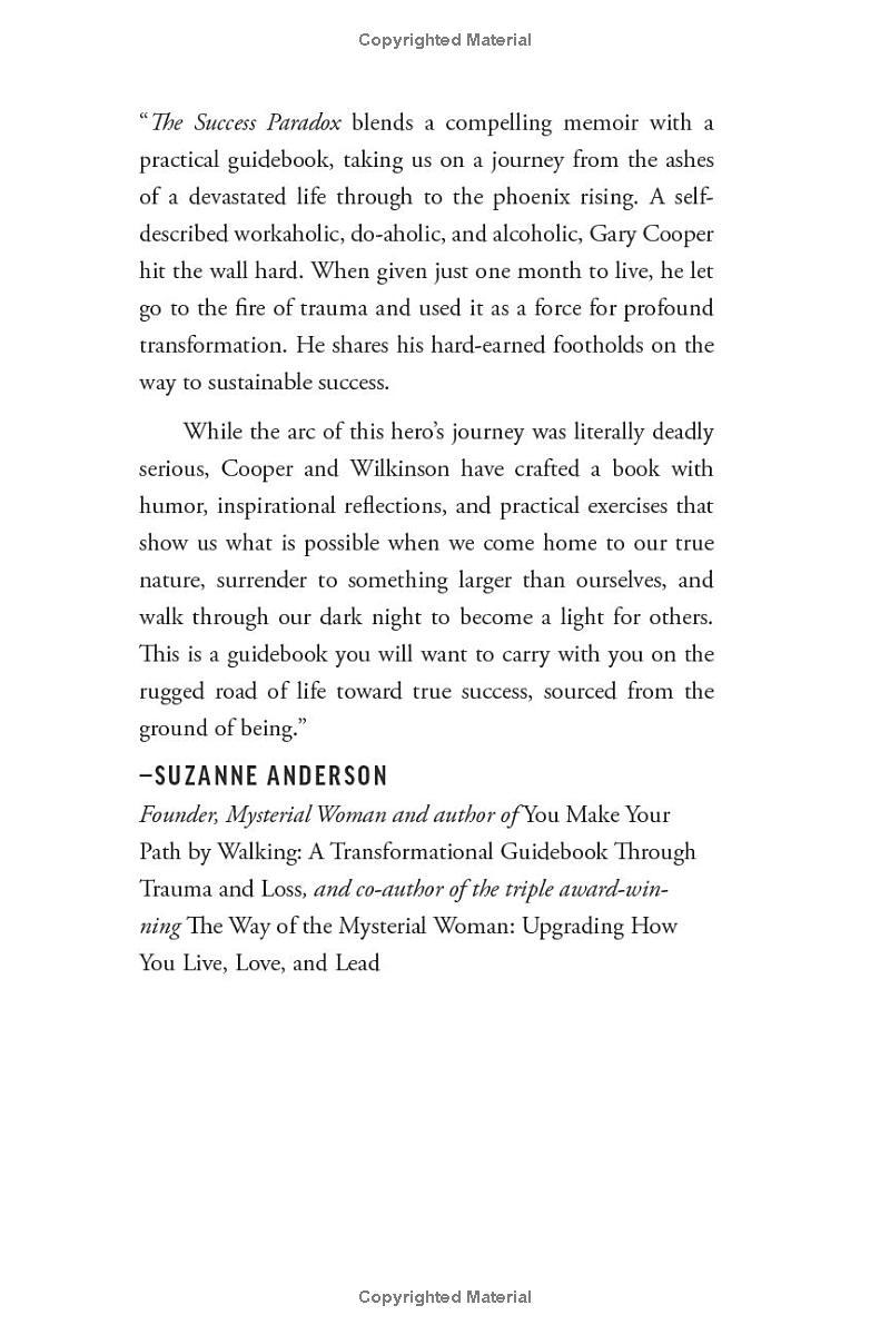 Sách ngoại văn: The Success Paradox