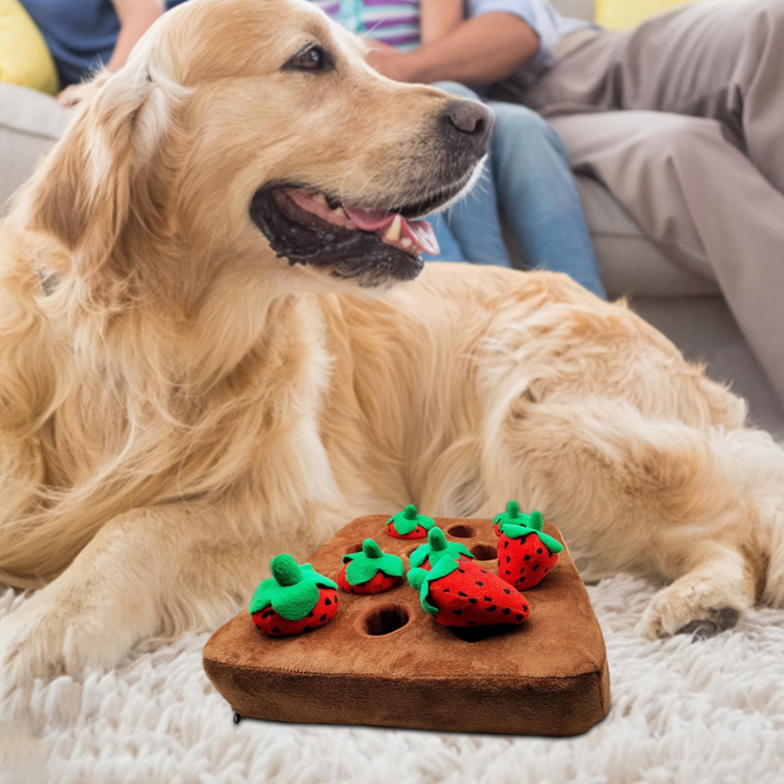 Dog Puzzle Toys for Small Medium and Large Dogs Educational Foraging Toy