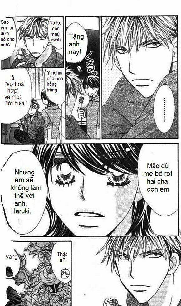 diamond life chapter 13 10