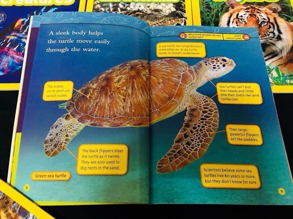 National Geographic Kids - level 2- nhập khẩu -36Q