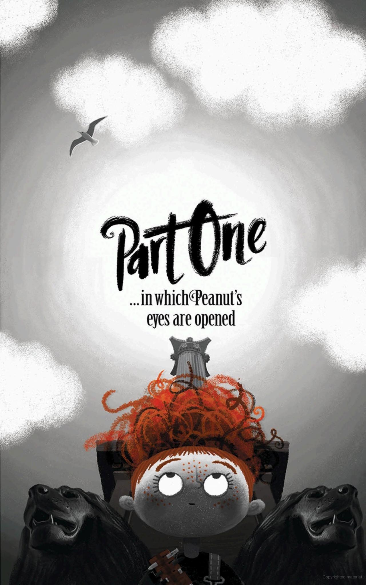 Sách ngoại văn: Peanut Jones And The Twelve Portraits