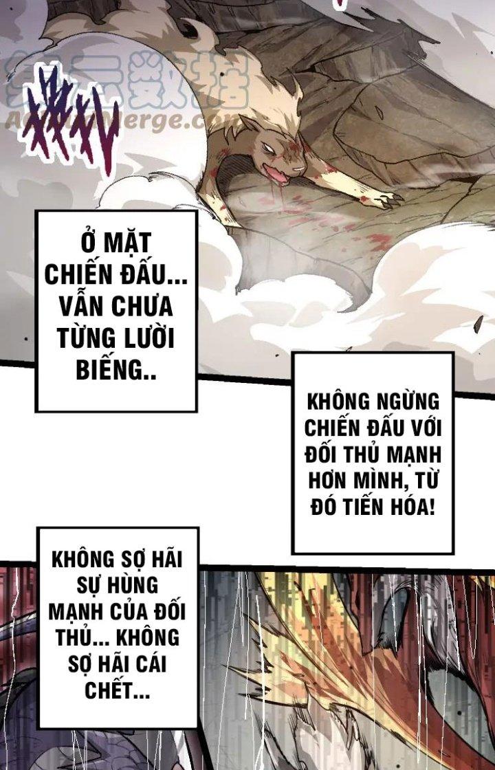 từ cây cổ thụ bắt đầu tiến hóa chapter 26 50