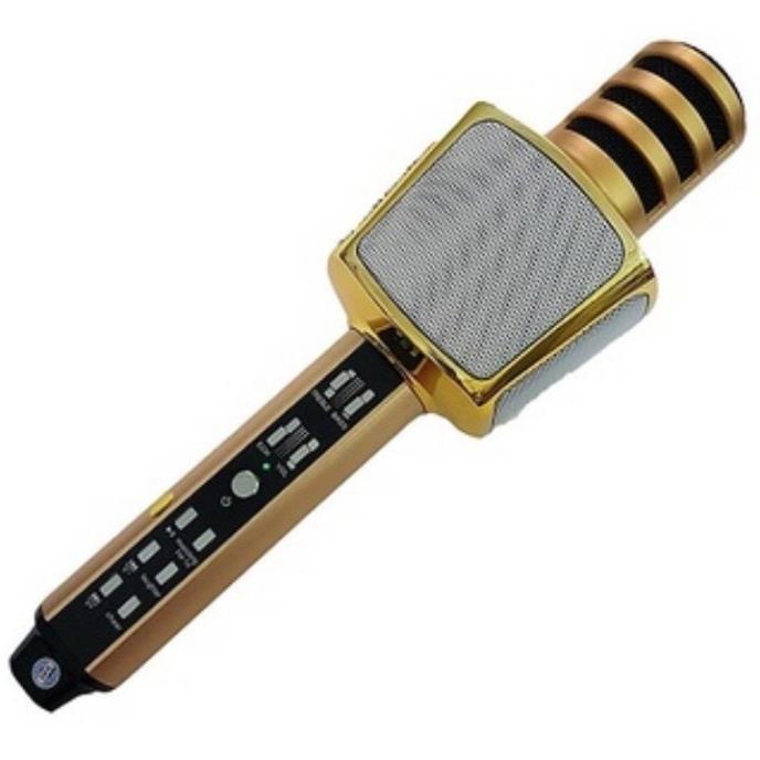 MICRO Không Dây Cầm Tay SD17 - Micro Karaoke bluetooth mini