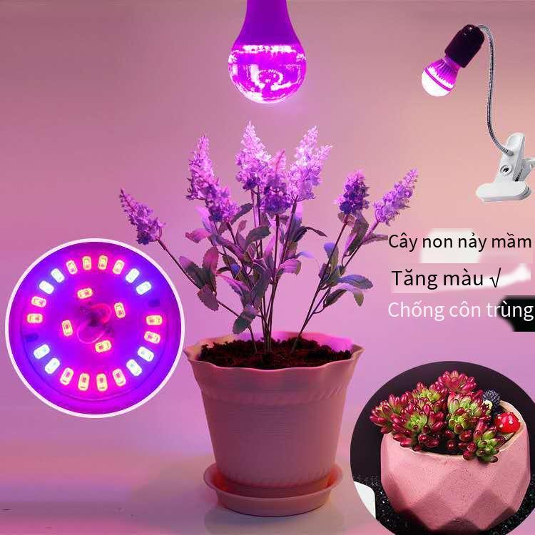 Đèn LED thuận lợi nhất mọng nước lấp đầy ánh sáng hoa giả mặt trời tăng trưởng thực vật đèn trong nhà thẳng đứng clip-on đèn bàn thực vật