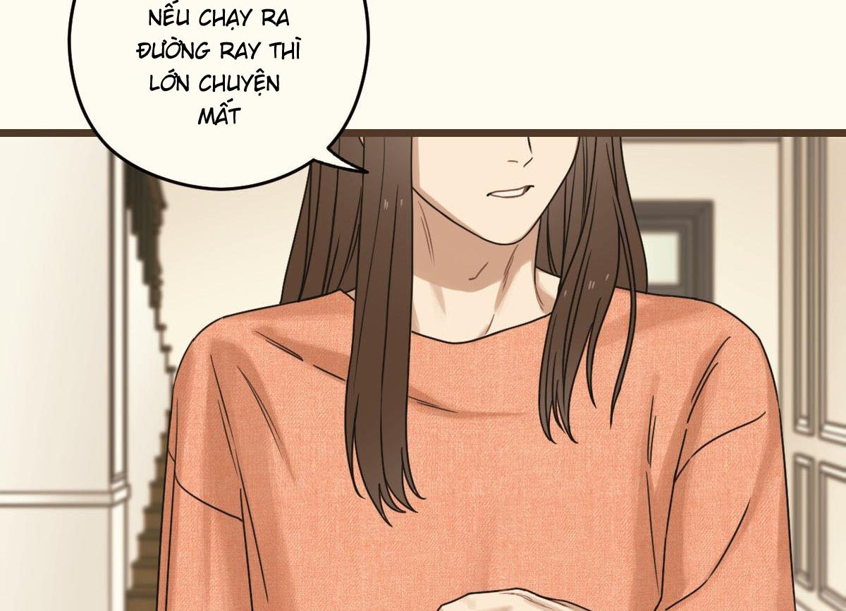 tương phùng chapter 37 191