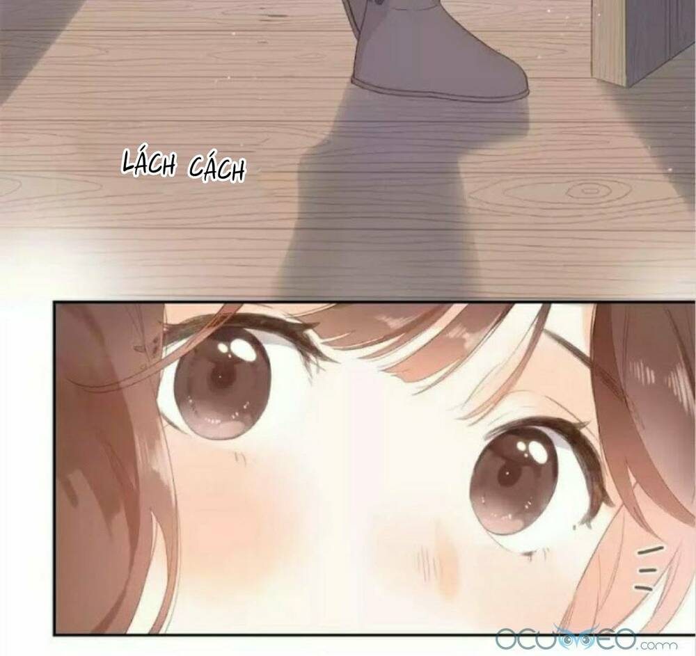 sos! tôi đã yêu một con sâu bướm (phần 2) chapter 17 5