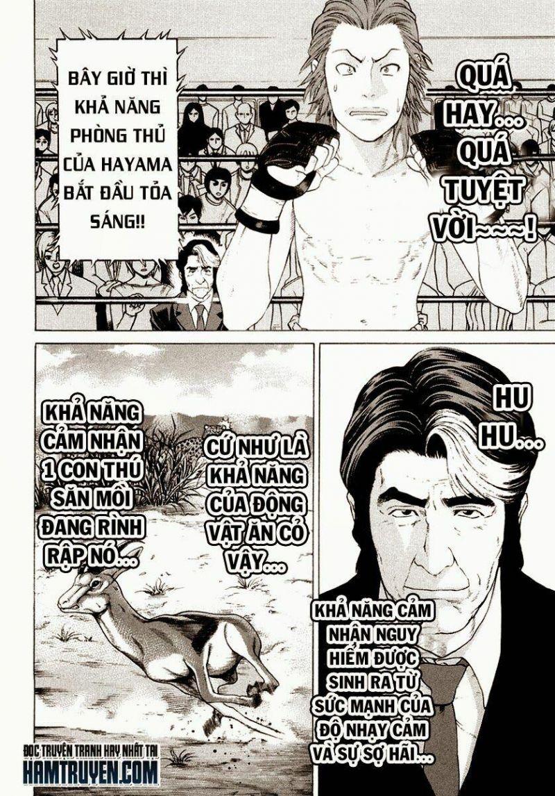 karate shoukoushi kohinata minoru chapter 196 8