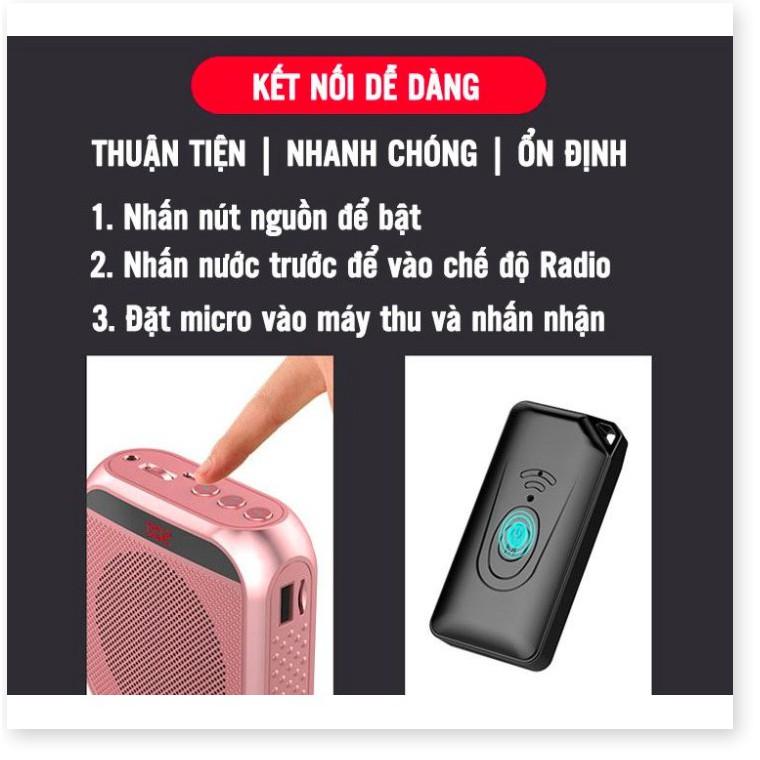 Bộ loa nhỏ gọn PUNNY PINK