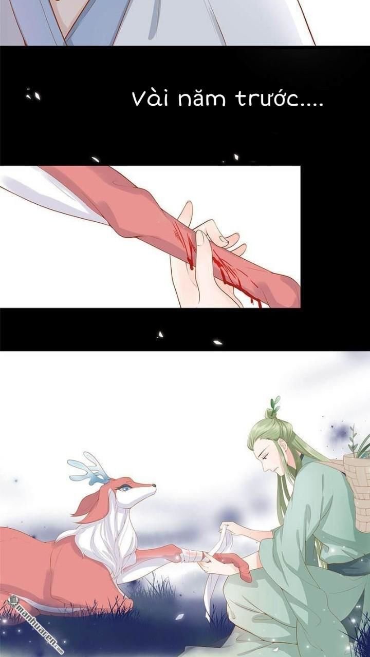 định mệnh giữa vị thần và tiểu cô nương chapter 12 5