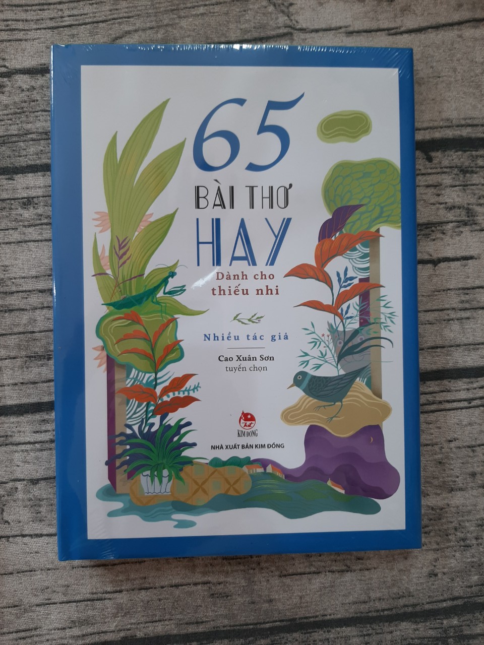 65 BÀI THƠ HAY DÀNH CHO THIẾU NHI
