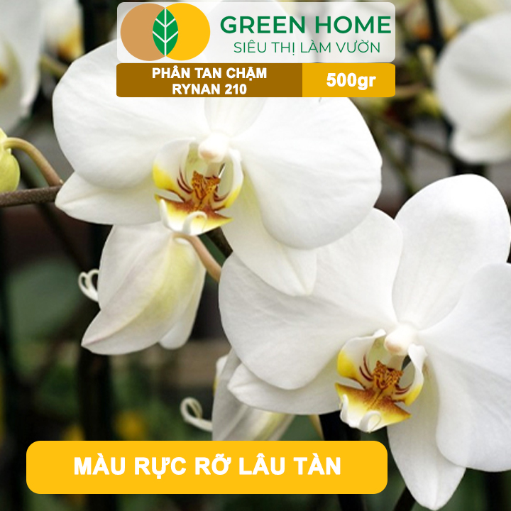 Phân Tan Chậm GreenHome, Rynan 210, Bao 500gr, Chuyên Dùng Cho Phong Lan Trưởng Thành