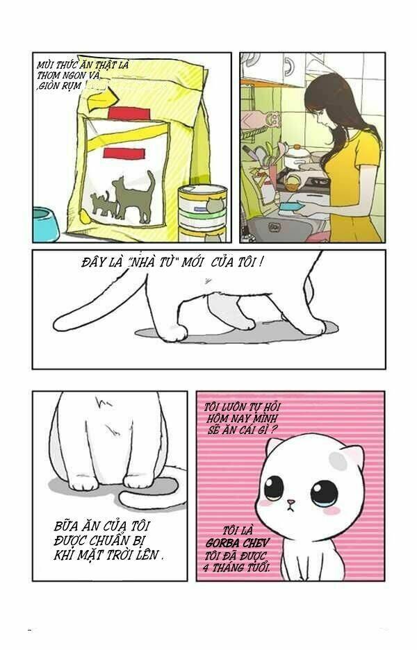 papi nyang chapter 1 5