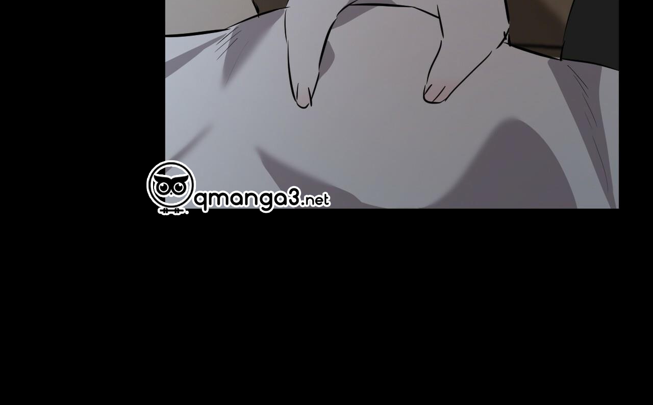 những chú thỏ của hapypy chapter 52 27