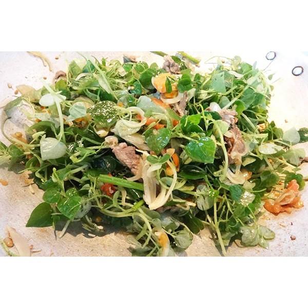 Hạt Giống Rau Càng Cua , hat giong rau sach thuy canh