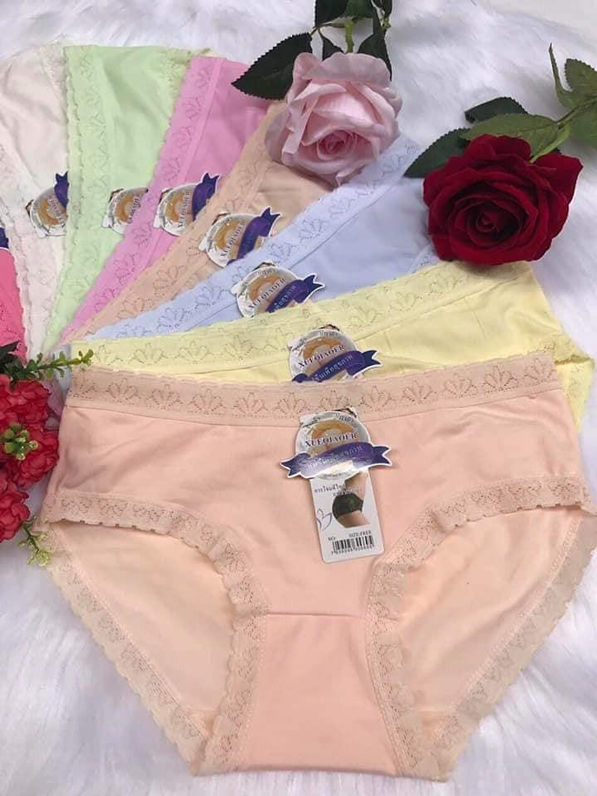 Combo 10 Quần Lót Nữ Cotton Siêu Xinh Viền Ren – Free size 45-60kg – Giao nhiều màu ngẫu nhiên