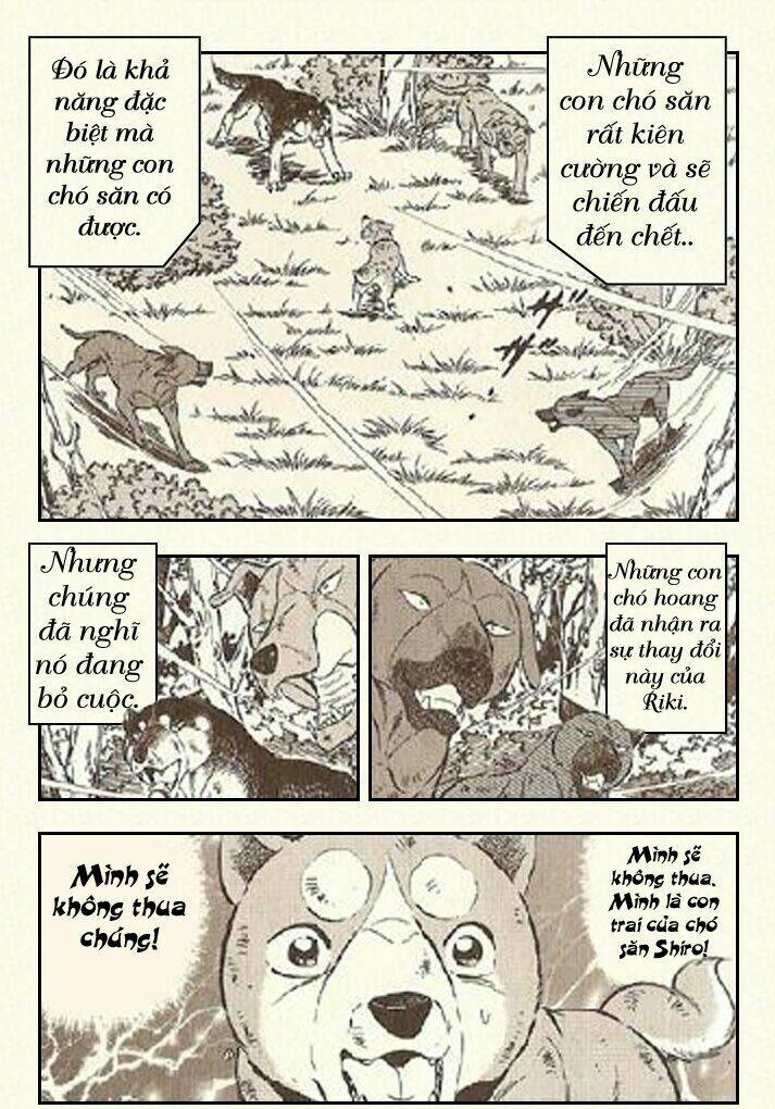 ginga densetsu riki chapter 4 26