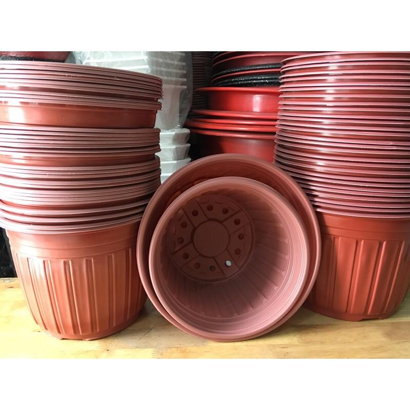 Combo 50 Chậu Nhựa Vành Cứng Trồng cây, Ươm Cây, Gieo Hạt