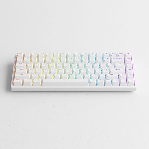 Bàn phím cơ AKKO 3084 v2 RGB Black/White _Mới, hàng chính hãng