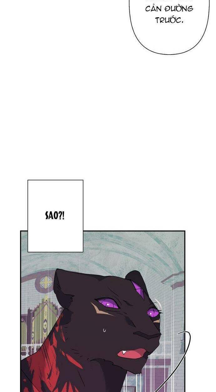 tôi đang nuôi dưỡng một con quái thú chapter 78 107