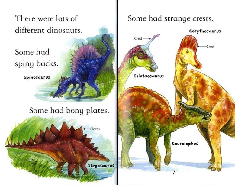 Sách - Dinosaurs by Conrad Mason