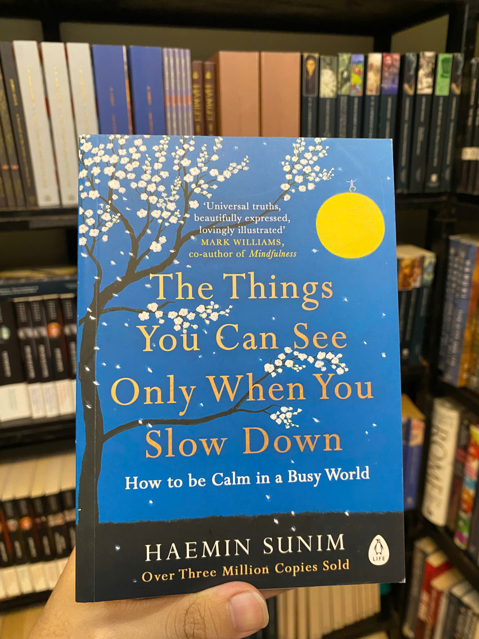 Sách - The Things You Can See Only When You Slow Down: How to Be Calm and Mindful in a Fast-Paced World by Haemin Sunim | Bestseller English Nonfiction