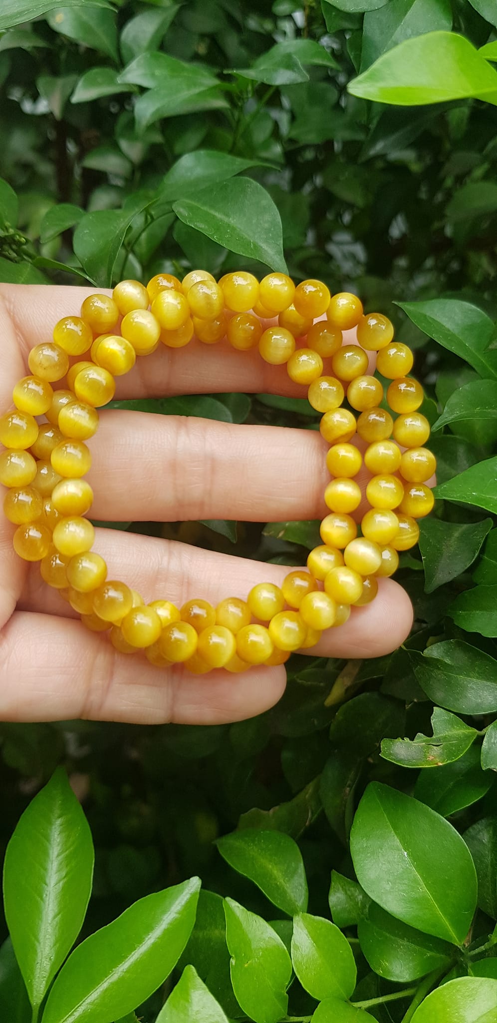 Vòng tay nữ đá mắt hổ tự nhiên vàng anh vip 6mm quấn tay 3 vòng đẹp vòng màu vàng anh tươi đẹp hợp nữ mệnh kim mệnh thổ mệnh thuỷ đeo tay may mắn xinh đẹp sang tay ạ