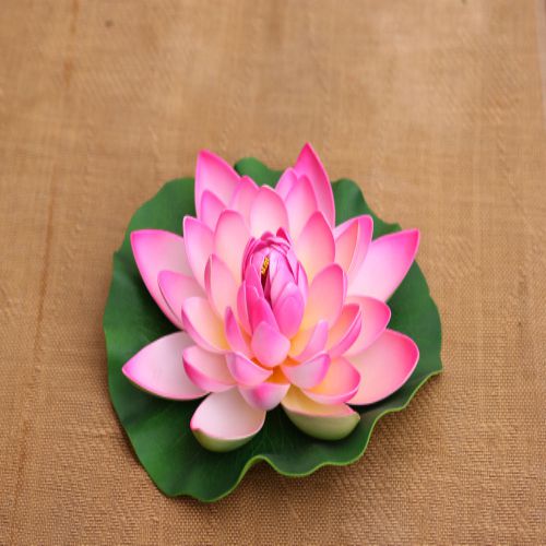Hoa sen giả trang trí hồ nước - hoa sen cao cấp - màu ngẫu nhiên