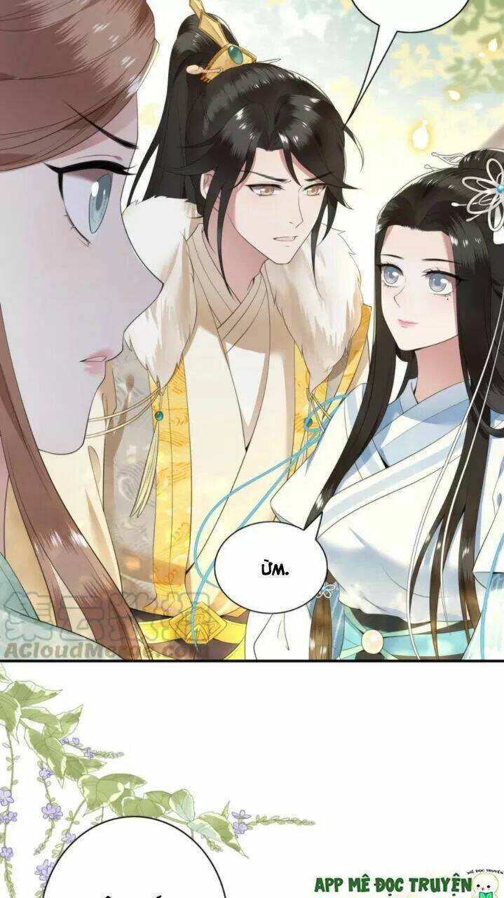 phượng hoàng vu phi chapter 81 24