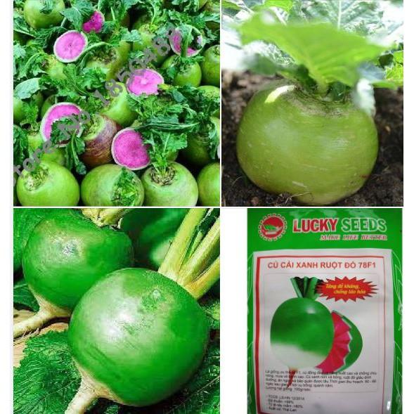 Hạt giống củ cải xanh ruột đỏ 2gram/gói