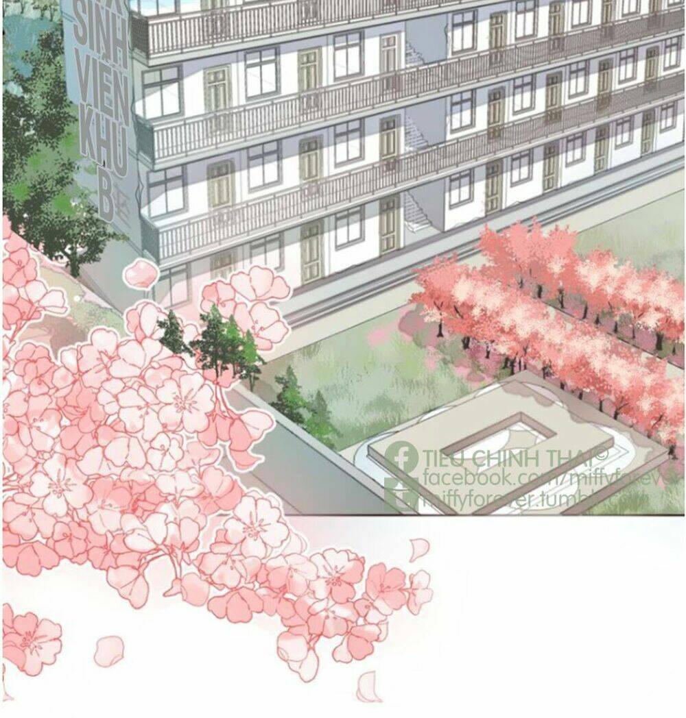 bạn trai xương rồng chapter 1 3