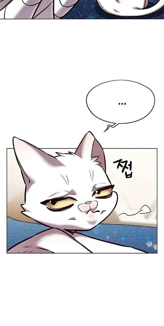 biến thân thành mèo chapter 263 6