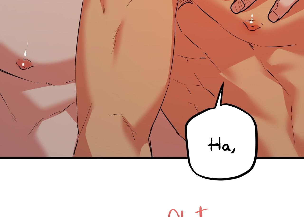 đàn thỏ của habibi chapter 63 156