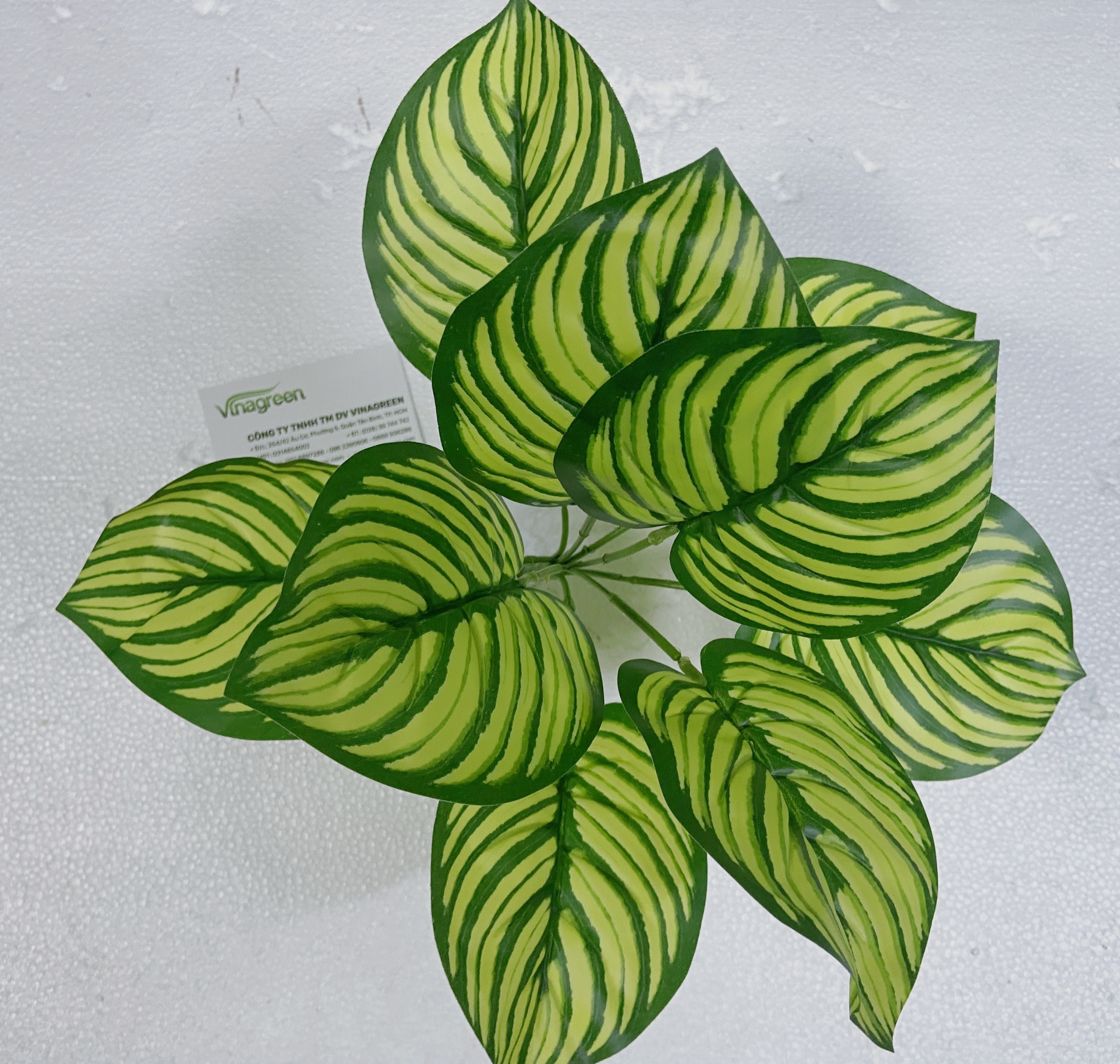 Cây đuôi công xanh giả trang trí nhà cửa, cây điểm trang trí, làm tường cây, cao 30cm, 9 nhánh lá - YY-179