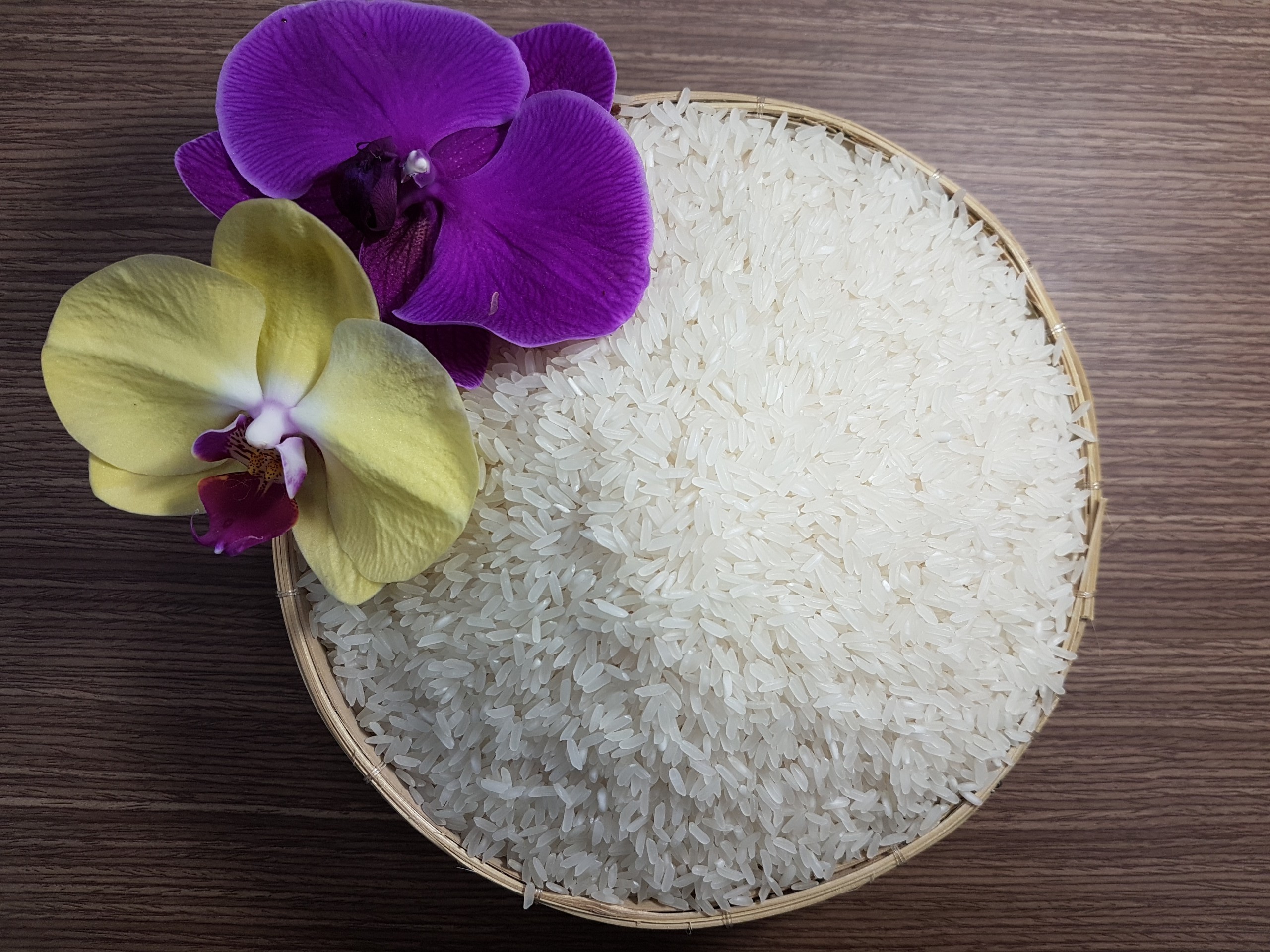 Gạo 49 Thơm Trong - Túi 5 kg - Dẻo, thơm, mềm cơm