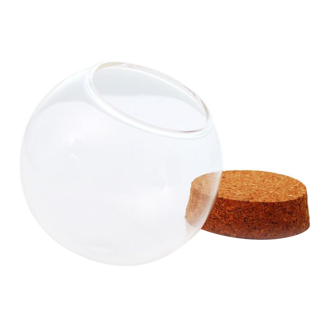 4x Glass Spherical Cover Landscape Terrarium Container Lid Vase Bottle 12cm