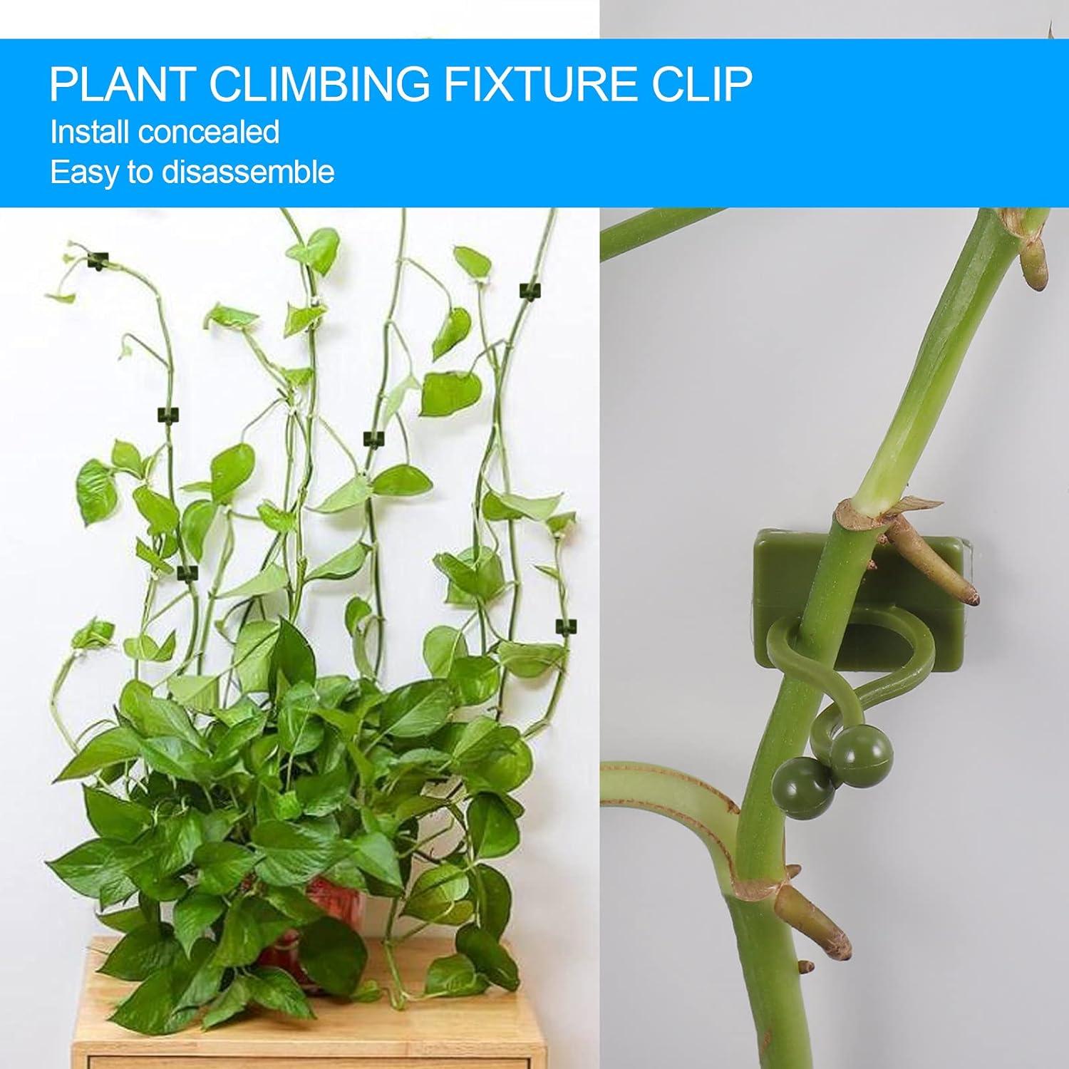 50 Cái Kẹp hỗ trợ cây leo, Kẹp cây tự dính, Kẹp treo tường Green Vine, Cố định tường, Móc treo hỗ trợ cây, Kẹp cọc, Trang trí tường cây