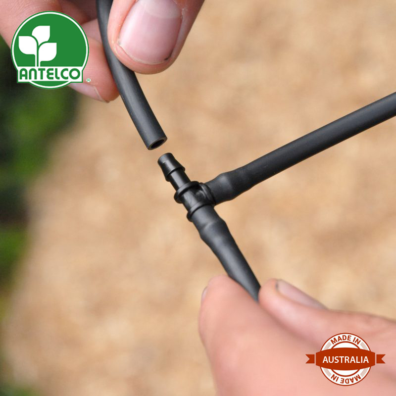 Combo 50 Tê nối ống 04mm