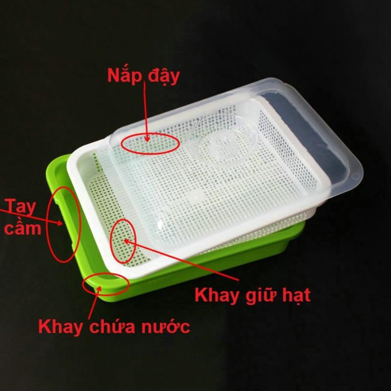 5 bộ Khay trồng Rau mầm Thủy canh MAM-103, Chậu trồng Rau mầm 3 lớp có nắp đậy