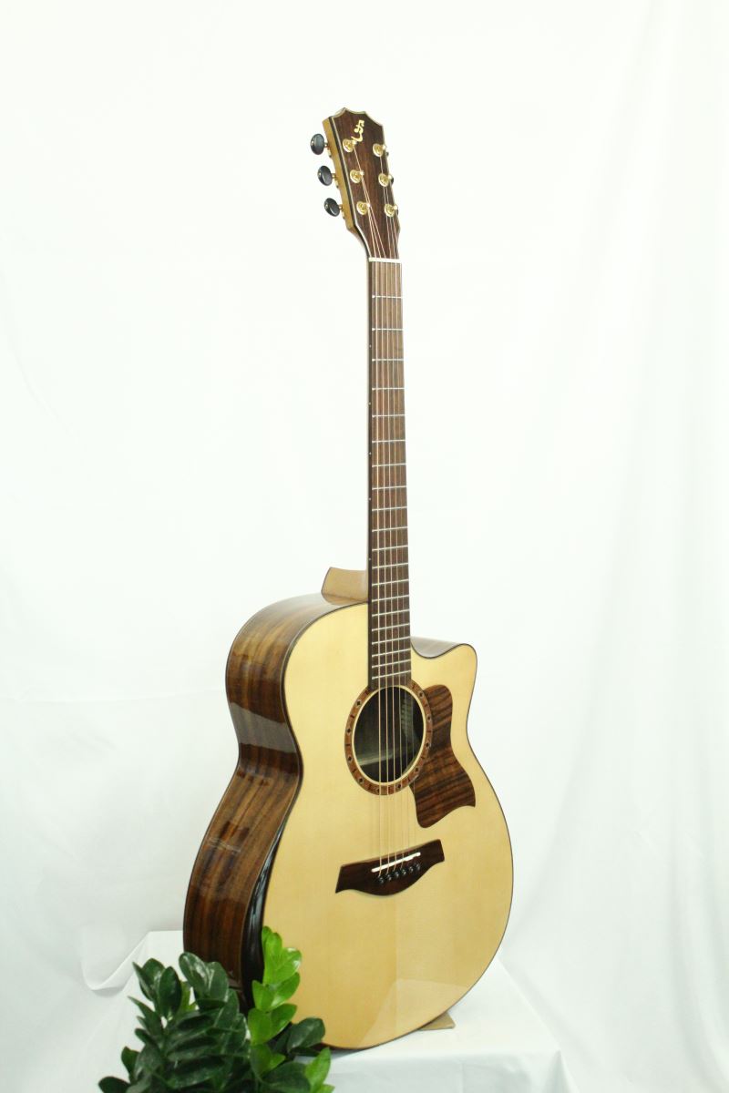 Đàn Guitar Acoustic T600 (Full Solid)