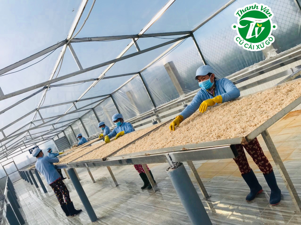 Củ cải trắng muối sợi Thanh Vân xứ Gò 500gr