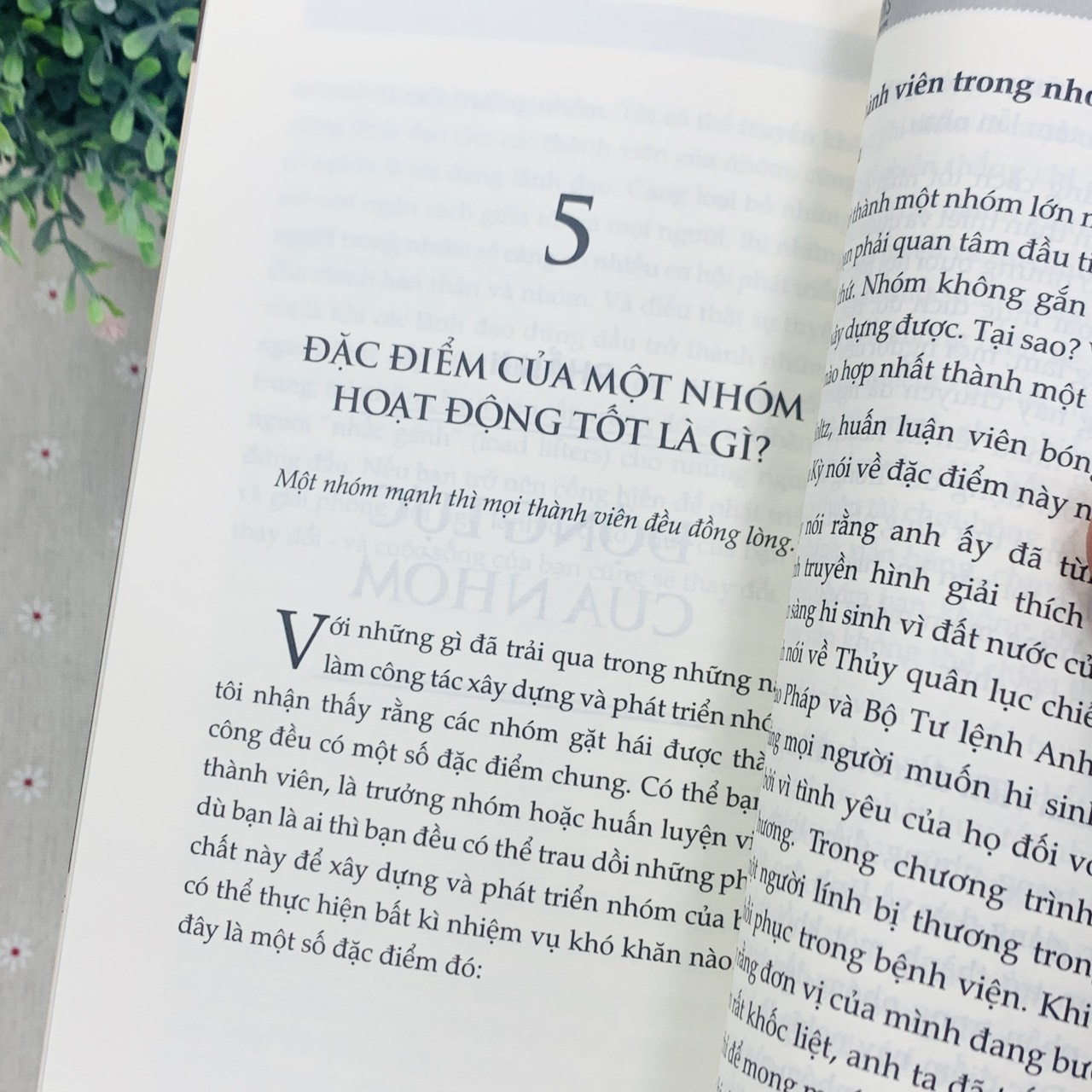 Combo 8 Cuốn 101 - Những Điều Nhà Lãnh Đạo Cần Biết - Tác Giả John C. Maxwell - Tái Bản