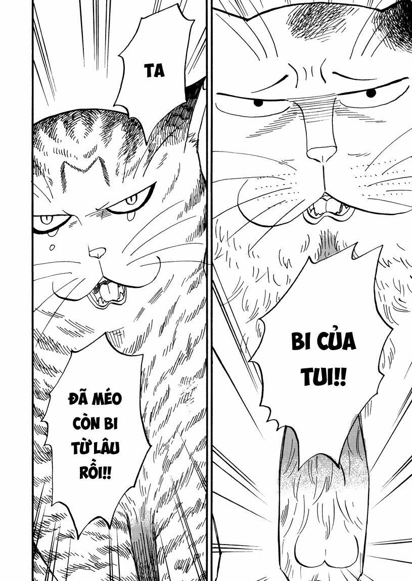 tui là busamen! chapter 7 13