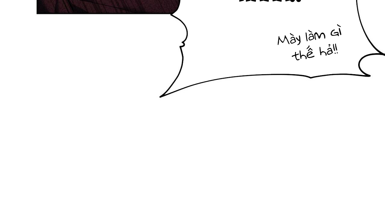 chàng dâu nhà họ kang chapter 22 61