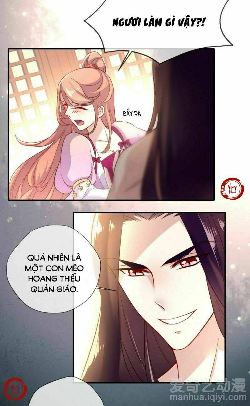 huyết tộc đại nhân của ta chapter 2 11